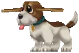 Shinan Beagle