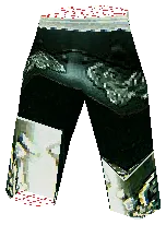 Illusion Knight Scale Pants